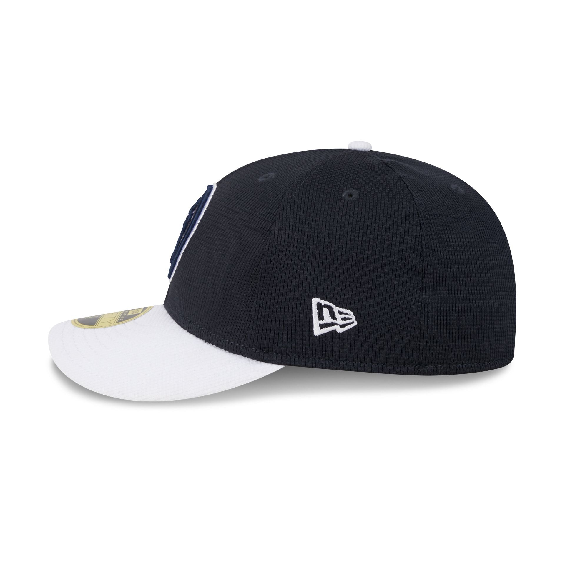 New York Yankees 2025 Batting Practice Low Profile 59FIFTY Fitted