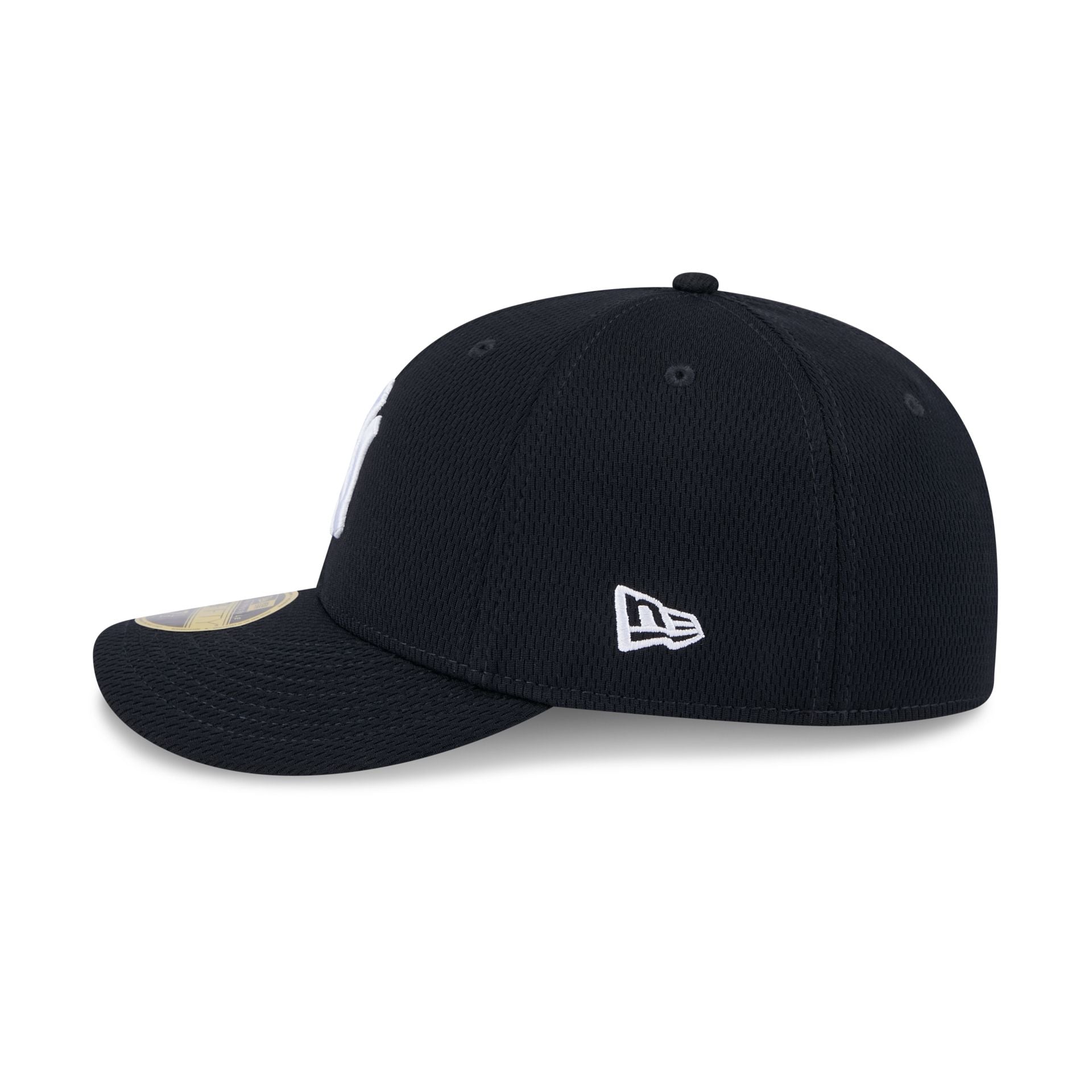 New York Yankees 2025 Clubhouse Alt Low Profile 59FIFTY Fitted Hat